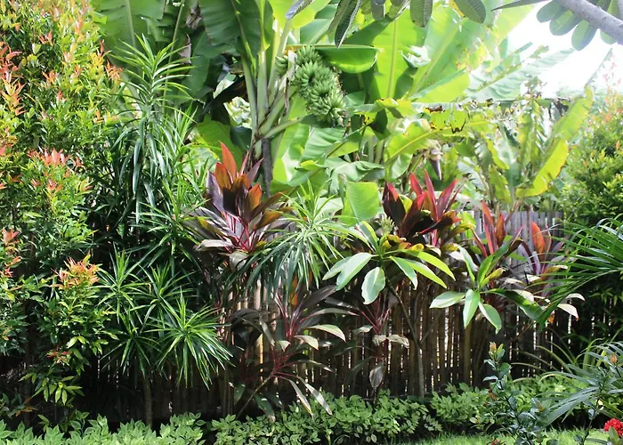 Séjour chez l'habitant Yuda Menjangan Banyuwedang
